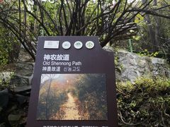 -神农山景区