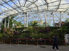 -北京植物园-展览温室