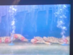 -赶海部落海鲜城(海阳路店)