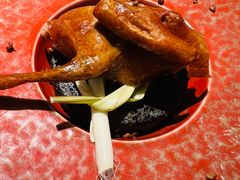 -南堂馆·新川菜(春熙路店)