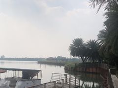 -迪茵湖田家舍生态农场