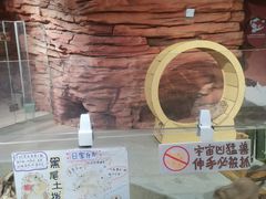 -正佳雨林生态植物园
