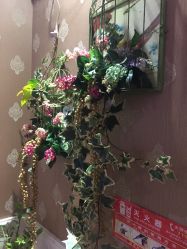 点击看大图 -芳朵美容养生SPA