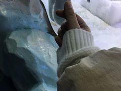 -芜湖新华联大白鲸海洋公园