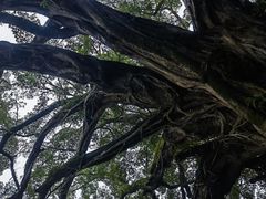 -云水谣景区
