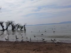 -捞渔河湿地公园