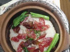 -顺德公广东猪肚鸡·煲仔饭(白石洲店)