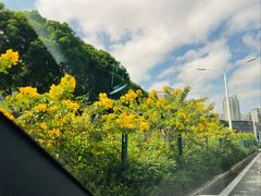 -水禾轩·海鲜蒸汽主题餐厅(拱北店)