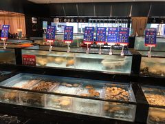 -尚海豆捞(乐虹坊店)