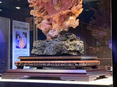 -绮丽珊瑚博物馆(台东店)