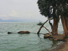 -捞渔河湿地公园