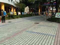 -上海市民办金苹果学校