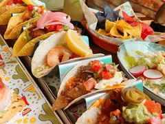 -Famous肥猫墨西哥音乐餐吧(五棵松华熙LIVE店)