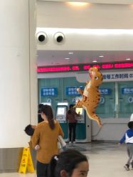 -上海市儿童医院(泸定路院区)