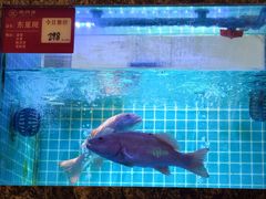 -潮州府·潮菜·砂锅粥(徐家汇店)