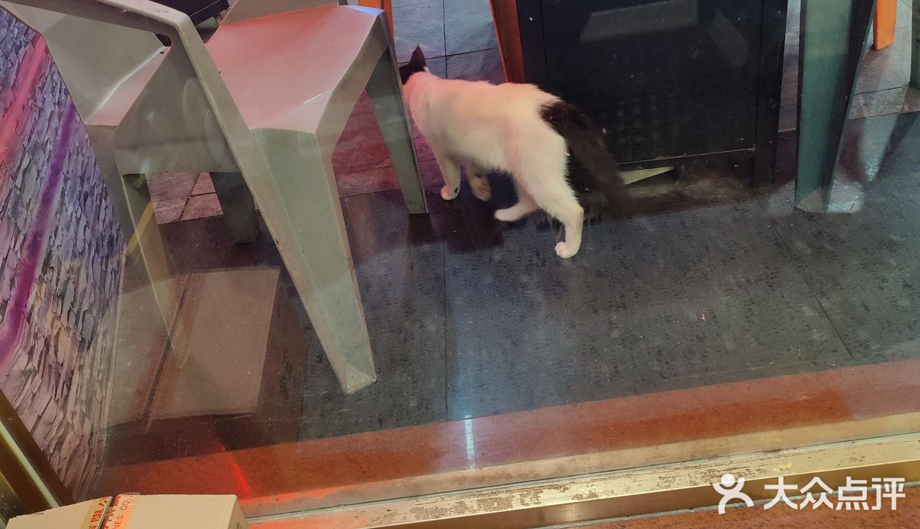 探店记：烤肉店必点