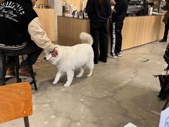 -VOYAGE COFFEE 咖啡烘焙工坊店(798艺术区店)