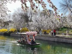 -元大都城垣遗址公园