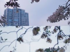 -红星桥(地铁站)