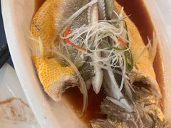 清蒸东海黄鱼-闽海肴(北辰荟店)