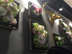 -DeerSong花鹿颂托管式护肤