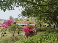 -盈香心动乐园