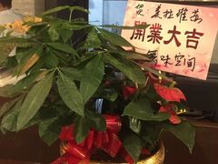 -美拉维苏披萨(华科店)