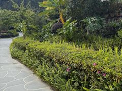 -腾冲洞山温泉村