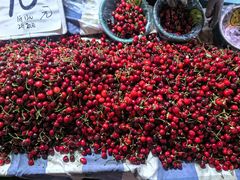 -鑫朱雀农贸批发市场