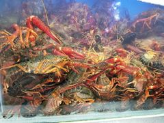 -盒马鲜生(大成店)