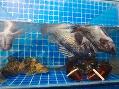 -宾朋海鲜饭庄(兴海路店)