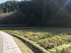 -常德桃花源景区