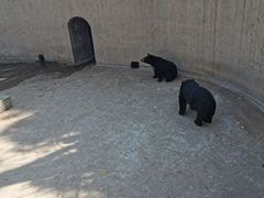 -保定市动物园