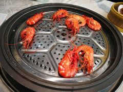 -越百海海鲜蒸锅(乐山店)