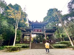 -凤栖山