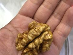 -清真·胖妈妈手抓餐厅(定西路长城宾馆店)
