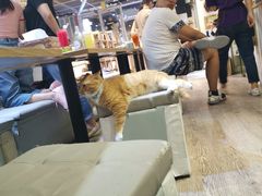 -小时光咖啡馆(开森度假森林店)