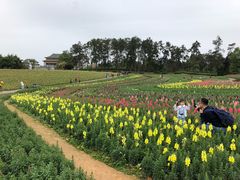 -保利石象湖景区