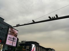 -第一百货(姑苏店)