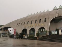 -自贡恐龙博物馆