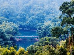 -鼎湖山风景区