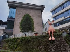 -鼓岭旅游度假区