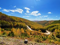 -塞罕坝国家级自然保护区