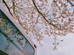 -南浦大桥长途旅游客运站