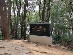 -马王堆汉墓遗址