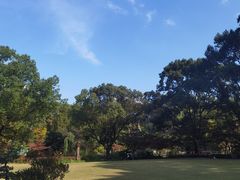 -申粤轩酒楼·三十年粤菜经典(丁香花园店)