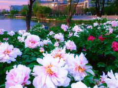 -东南大学(九龙湖校区)