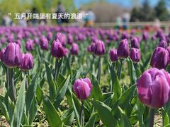 -长春公园(普阳街道)