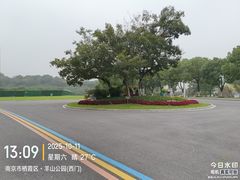 -羊山湖公园