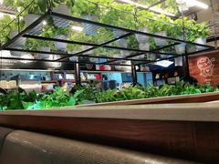 -猫爪爪原切自助烤肉(观音桥阳光世纪店)
